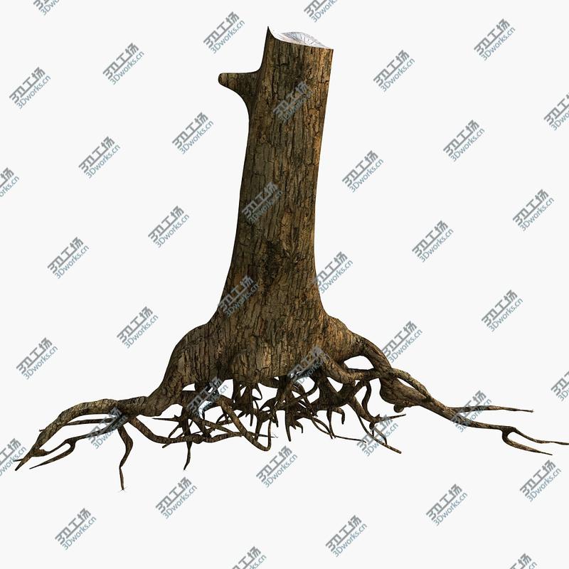 images/goods_img/2021040165/Tree Roots/4.jpg